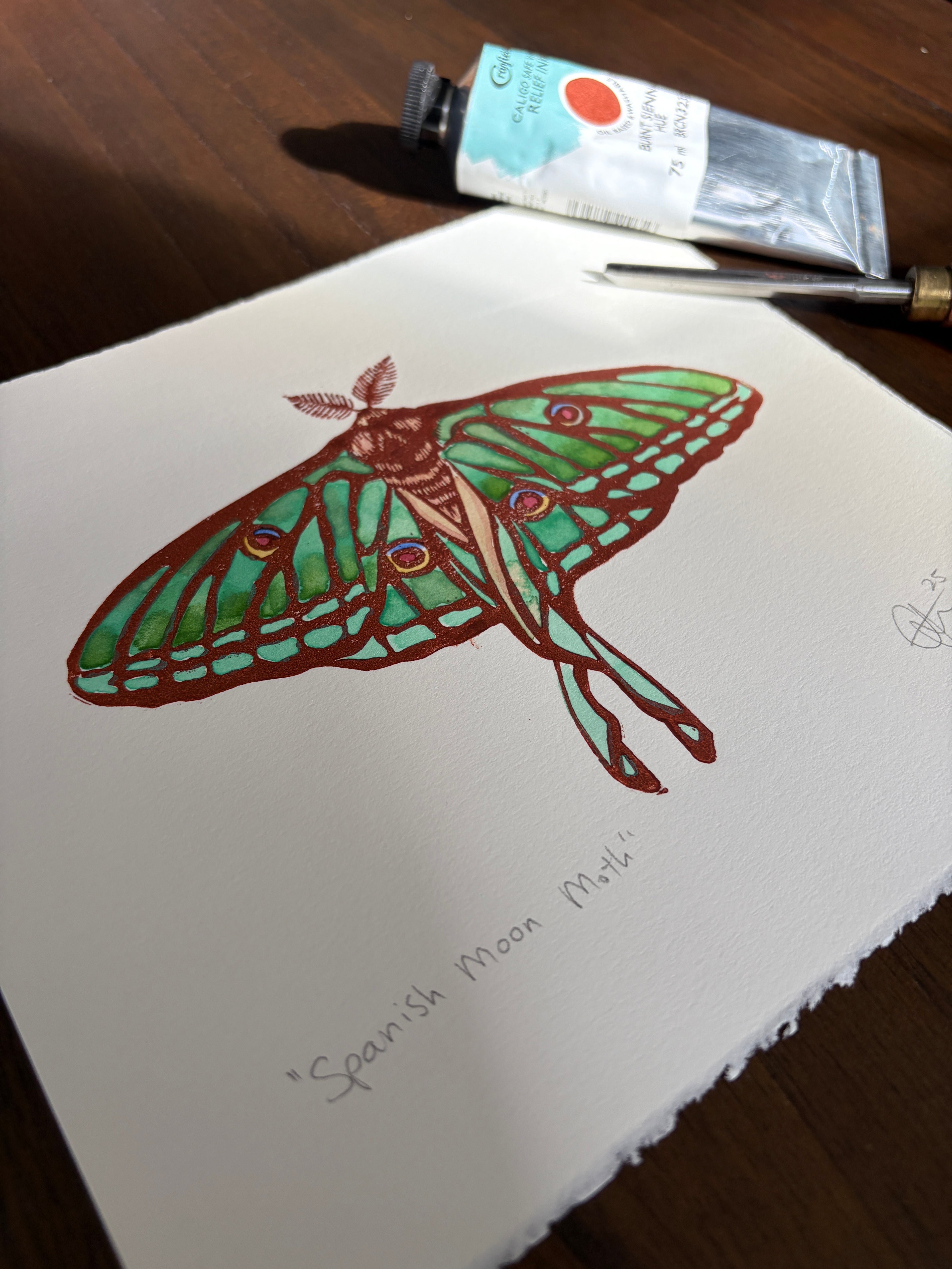 Spanish Moon Moth Original Watercolour & Lino Print