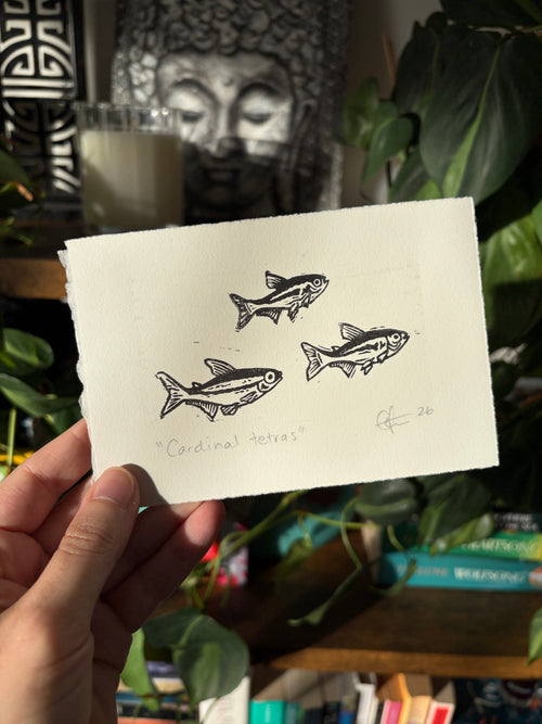 Cardinal Tetras Original Lino Mini Print