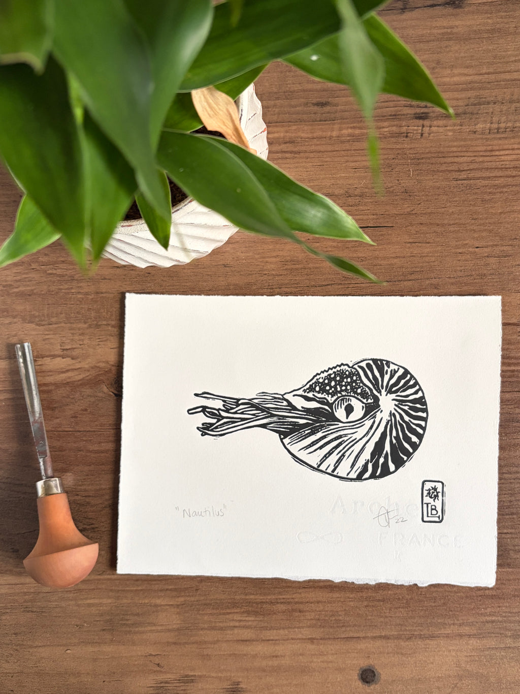 Nautilus Original Lino Print
