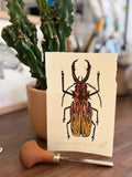 Giant Longhorn Beetle Original Watercolour & Lino Mini Print