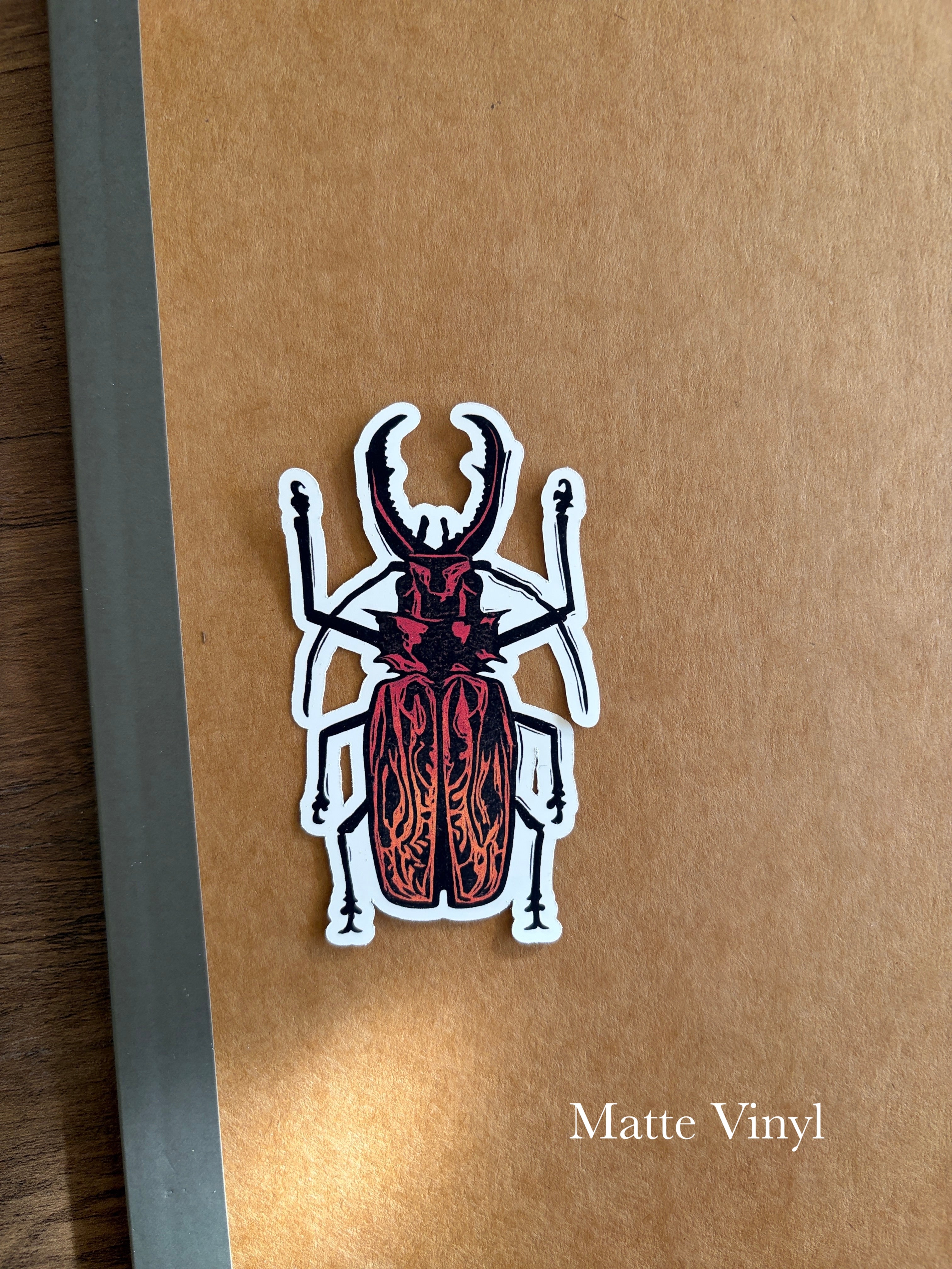 Beetle Vinyl Sticker