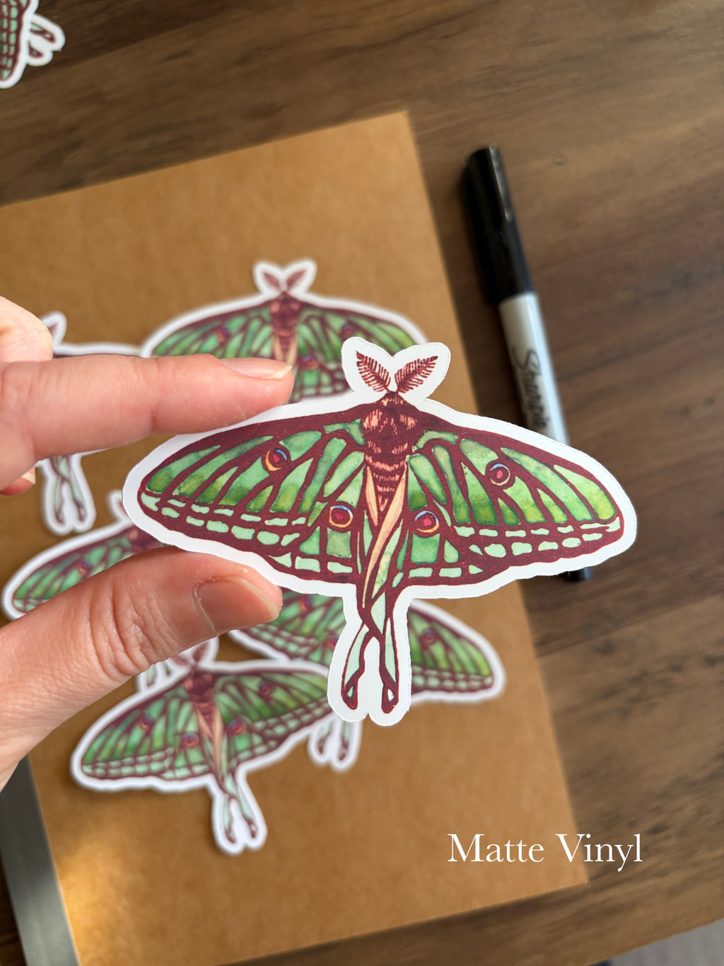 Moon Moth Vinyl Sticker