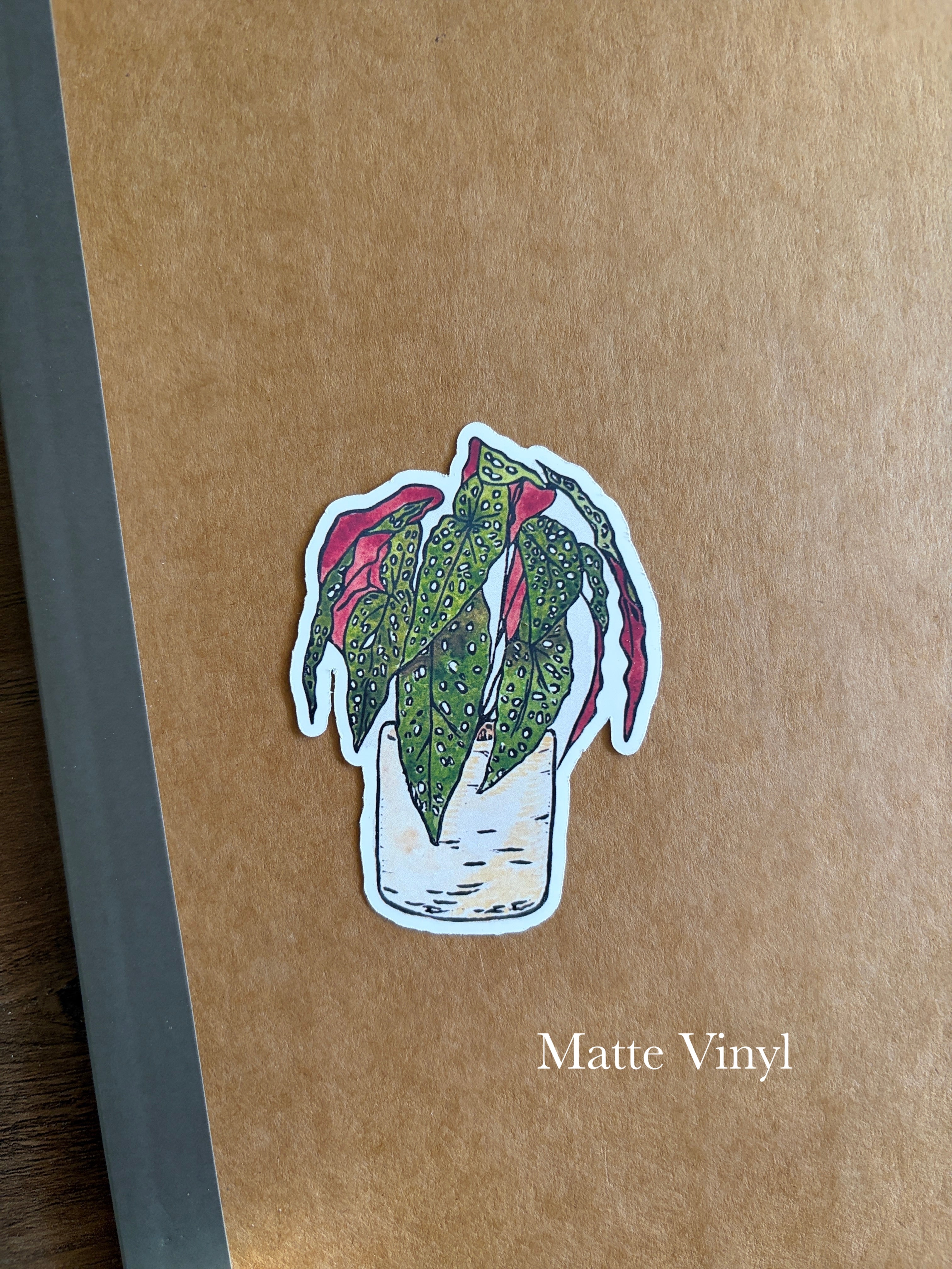 Polkadot Begonia Vinyl Sticker