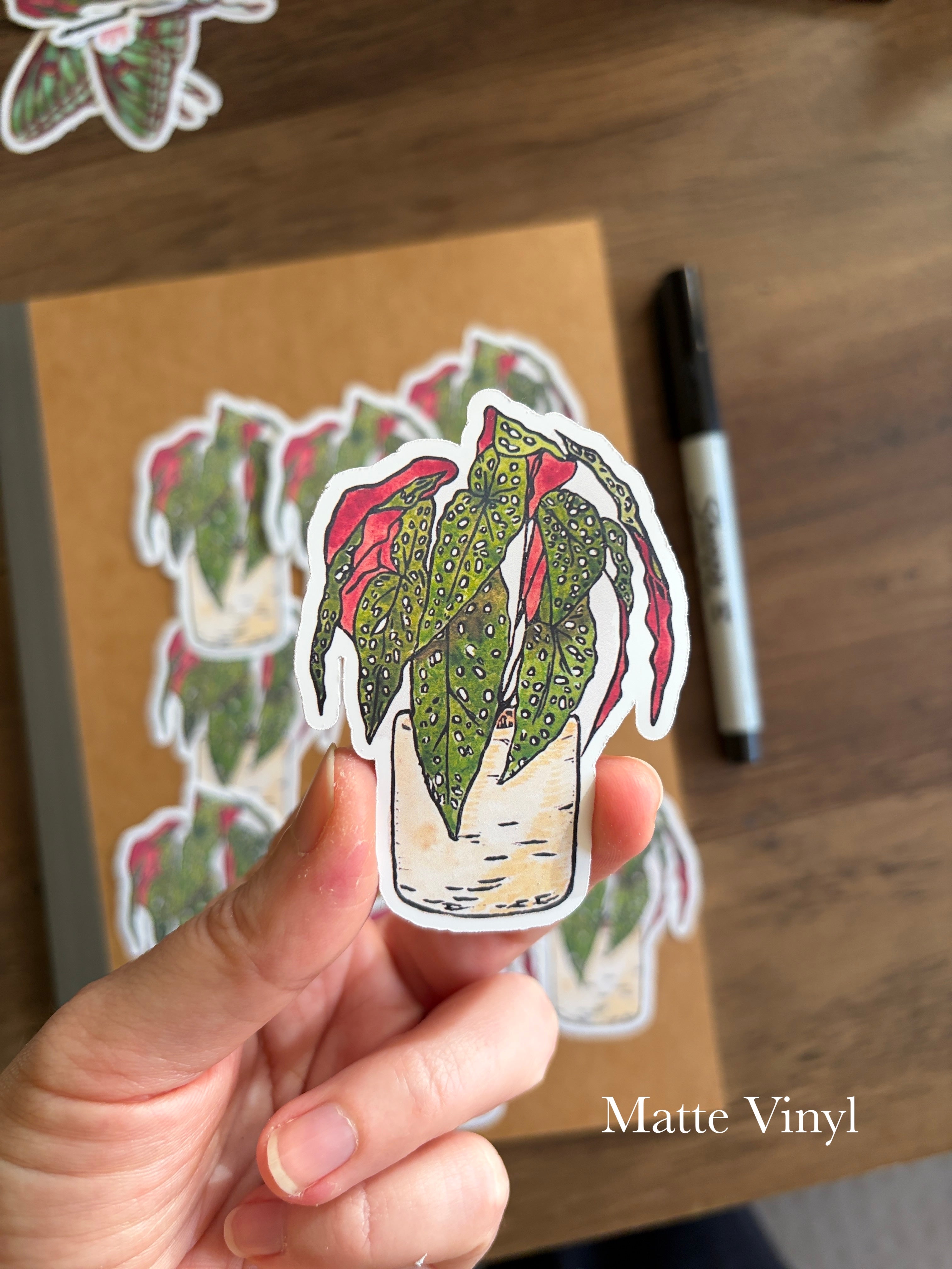 Polkadot Begonia Vinyl Sticker