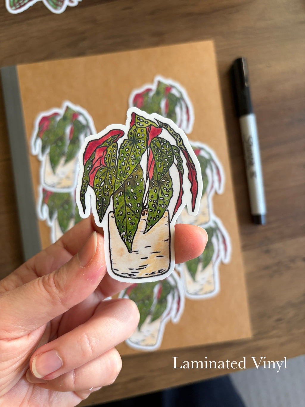 Polkadot Begonia Vinyl Sticker