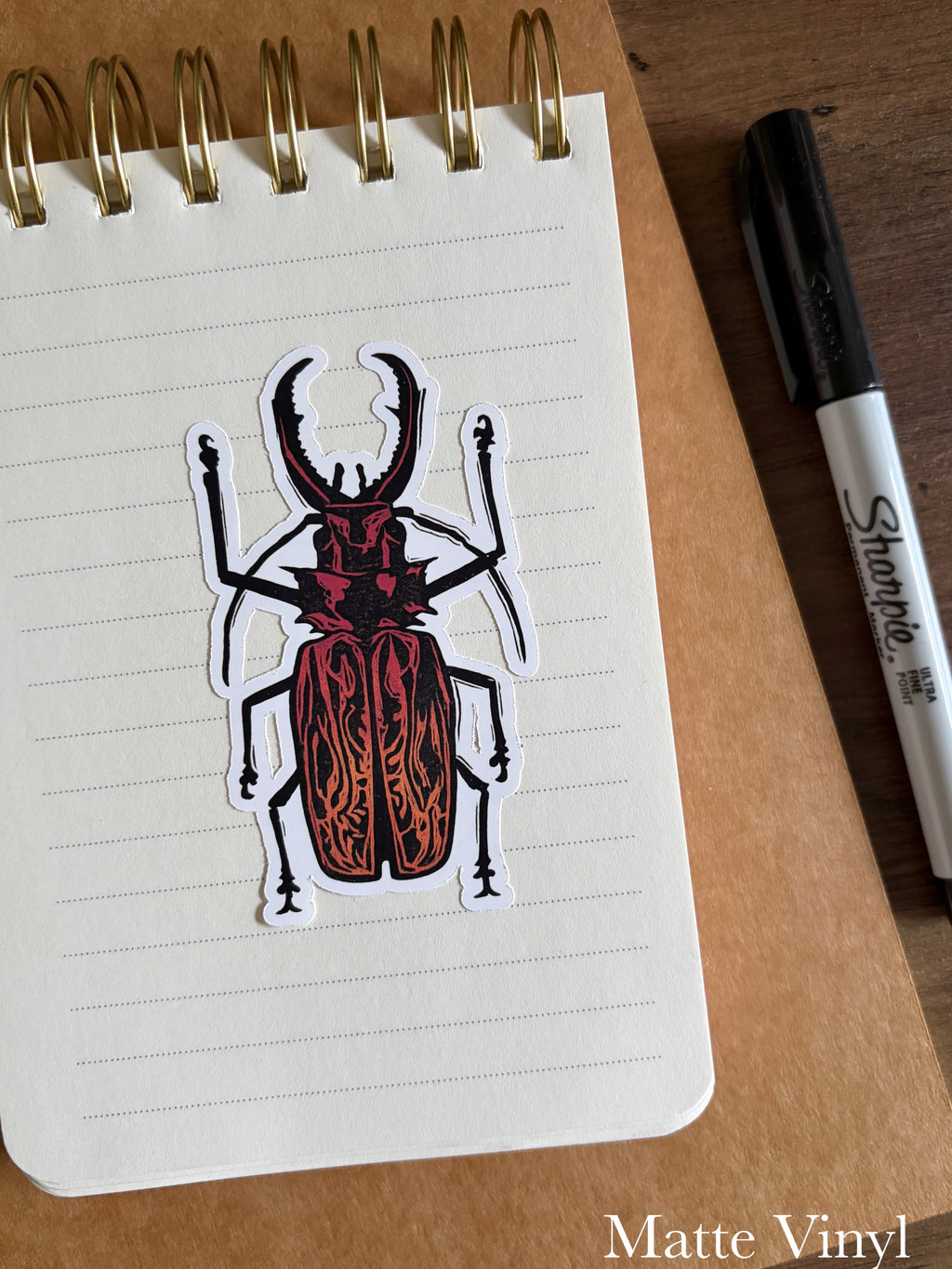 Beetle Vinyl Sticker