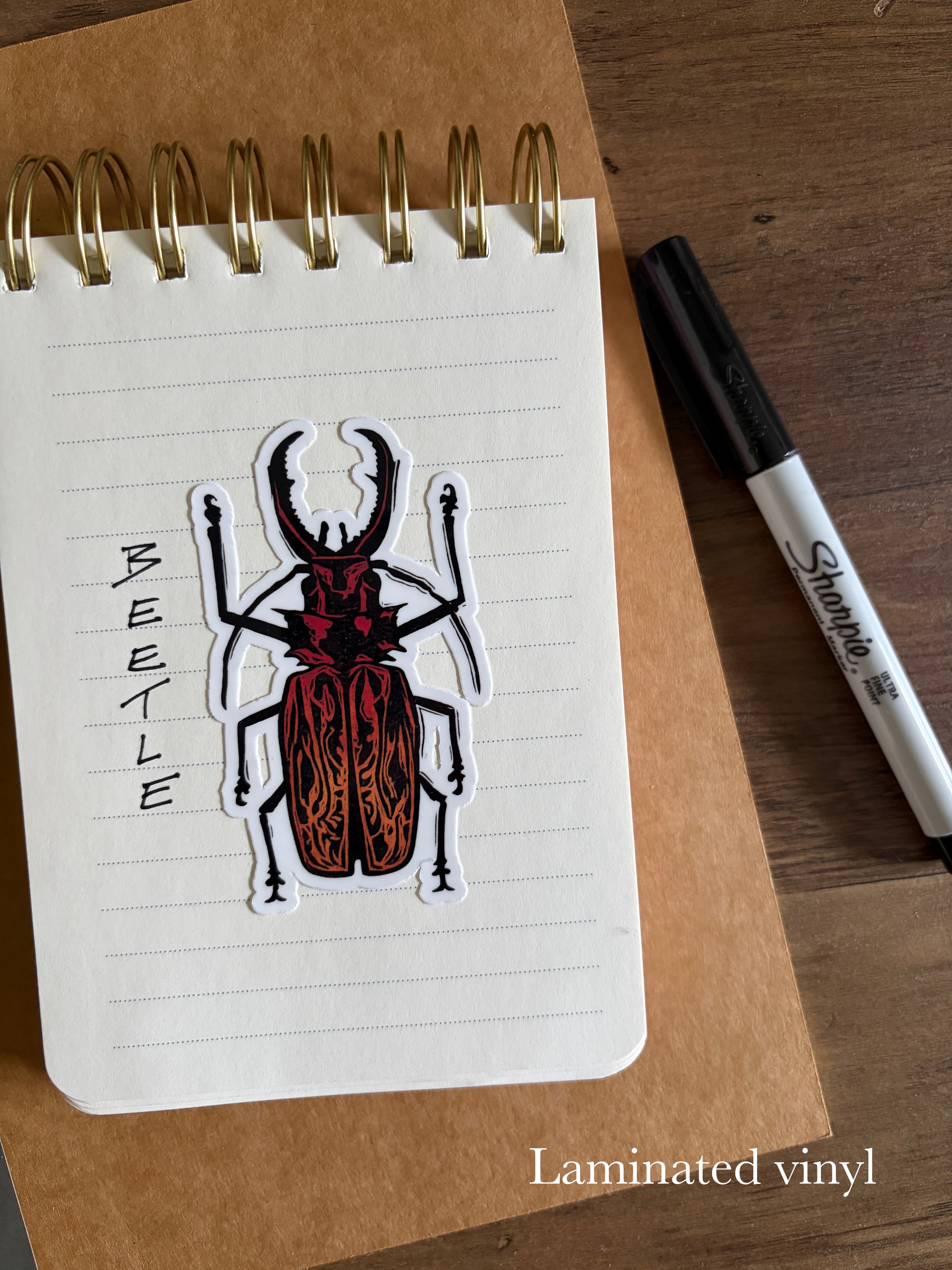Beetle Vinyl Sticker