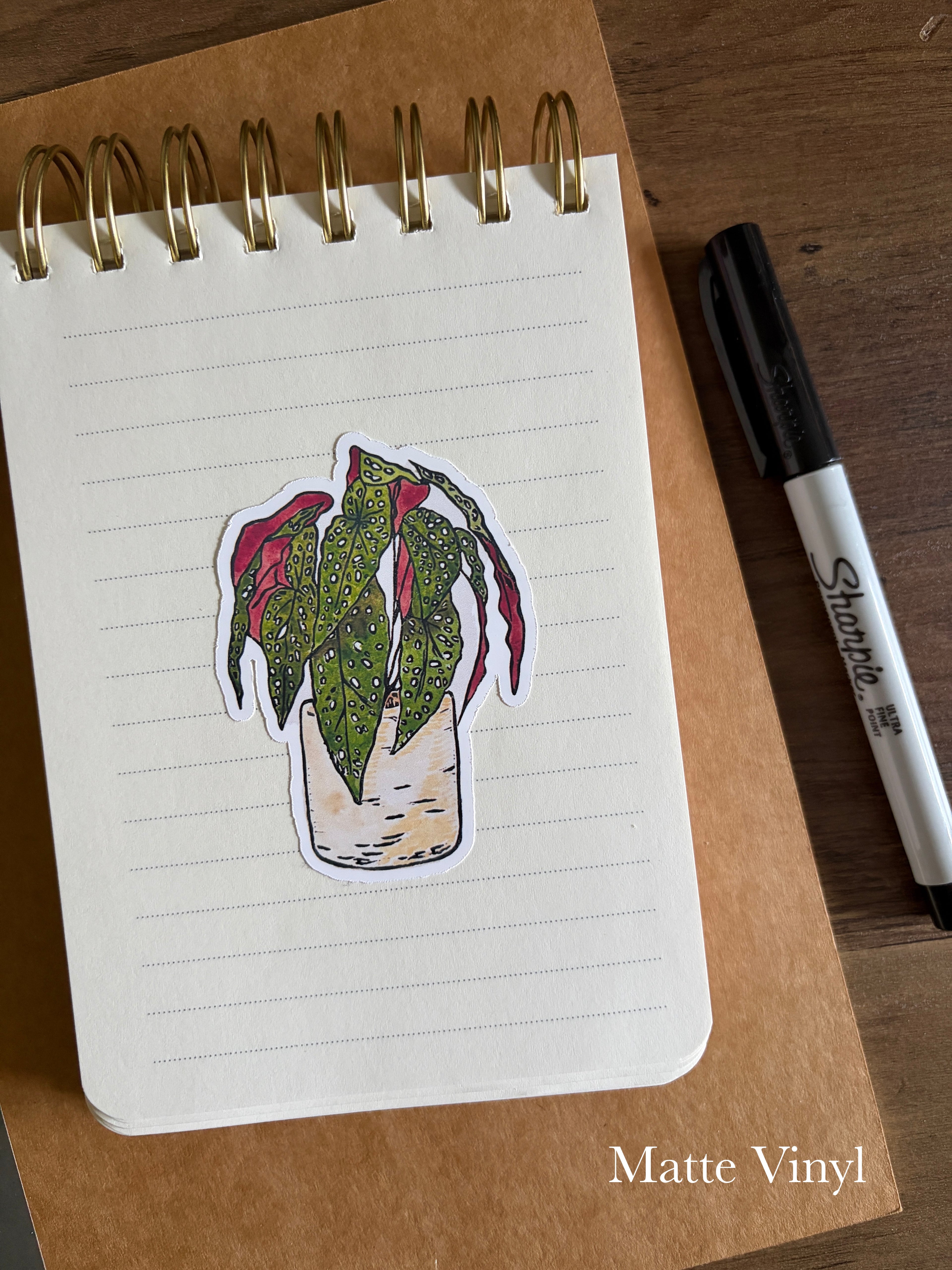 Polkadot Begonia Vinyl Sticker