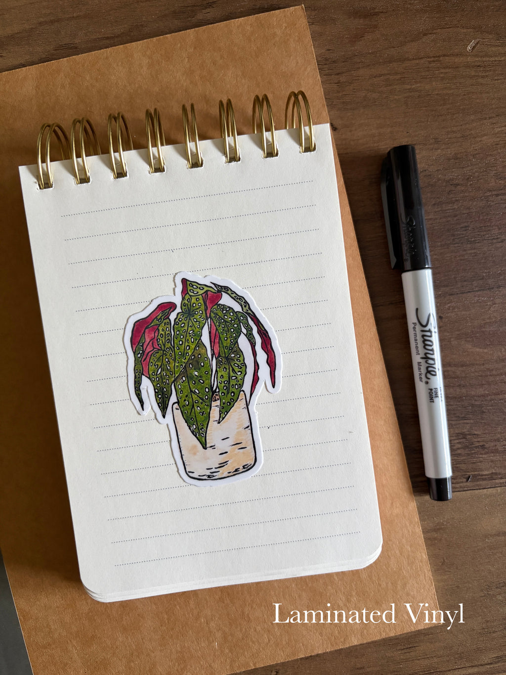 Polkadot Begonia Vinyl Sticker