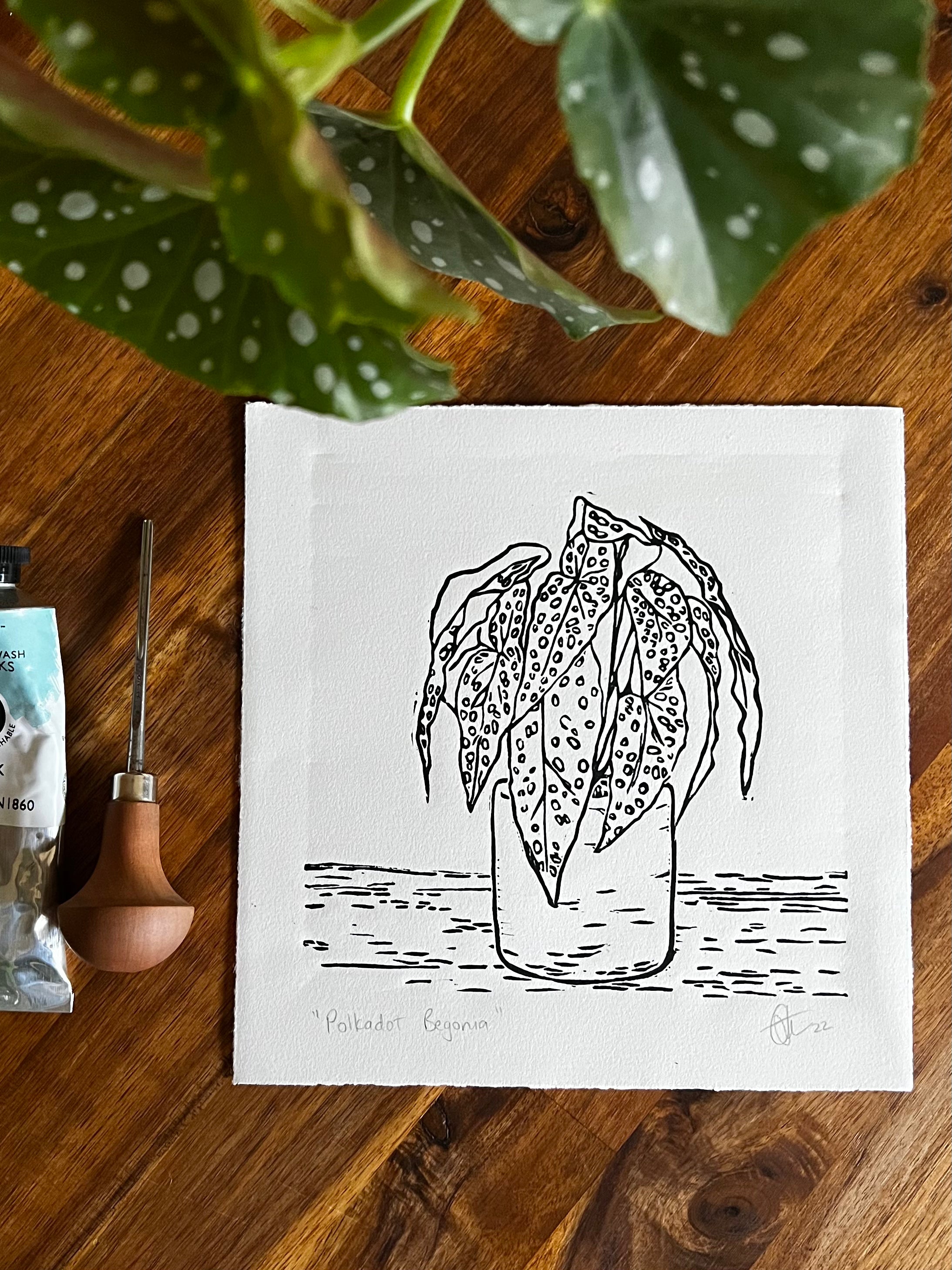 Polkadot Begonia Original Lino Print