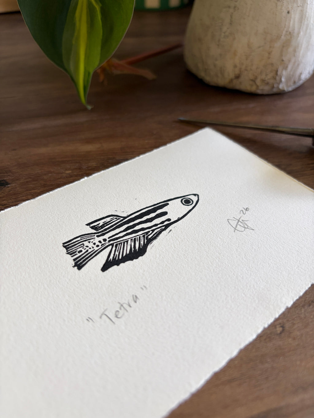 Tetra Original Mini Lino Print