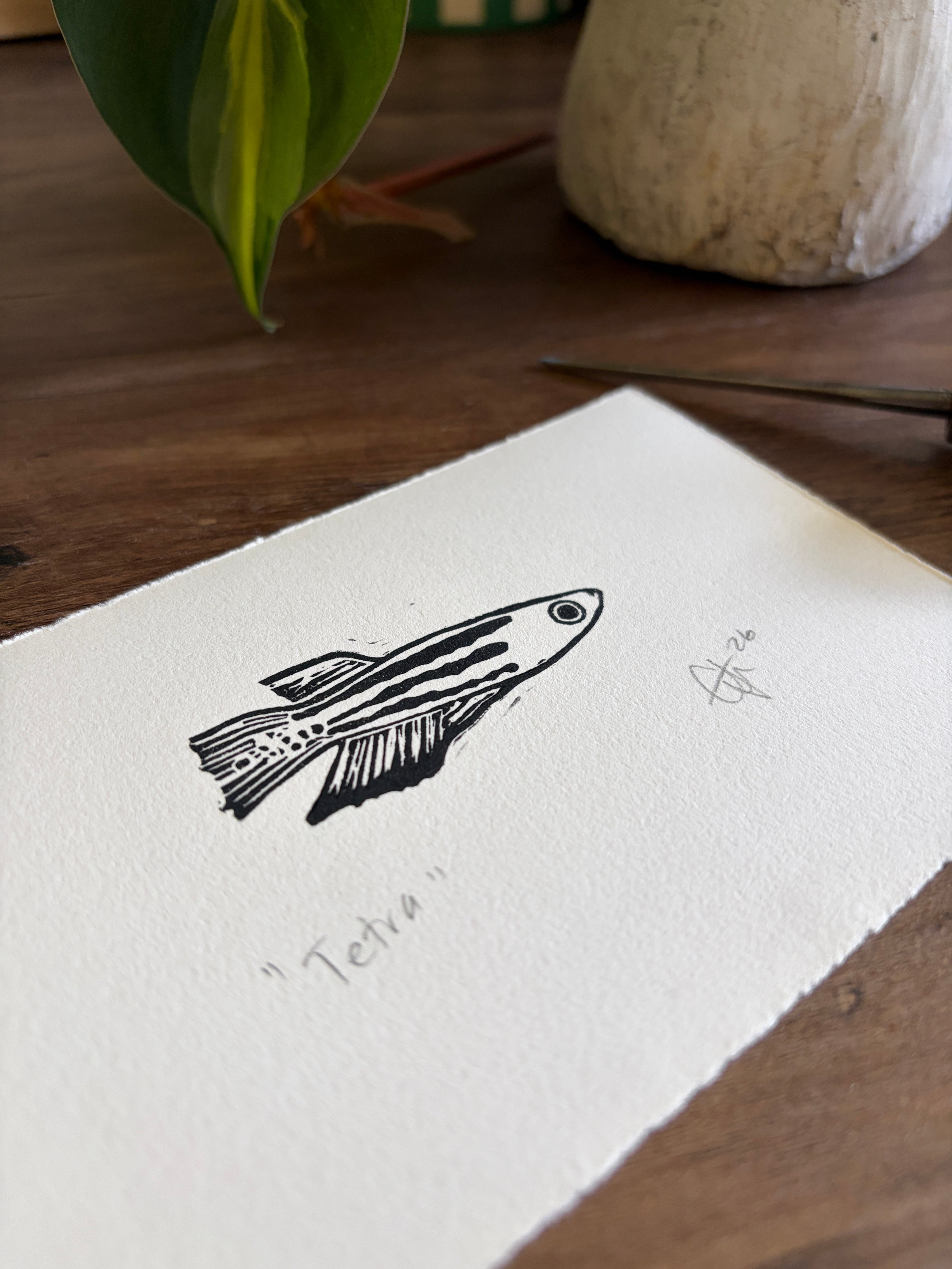 Tetra Original Mini Lino Print