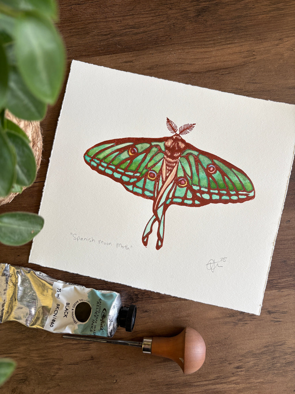 Spanish Moon Moth Original Watercolour & Lino Print