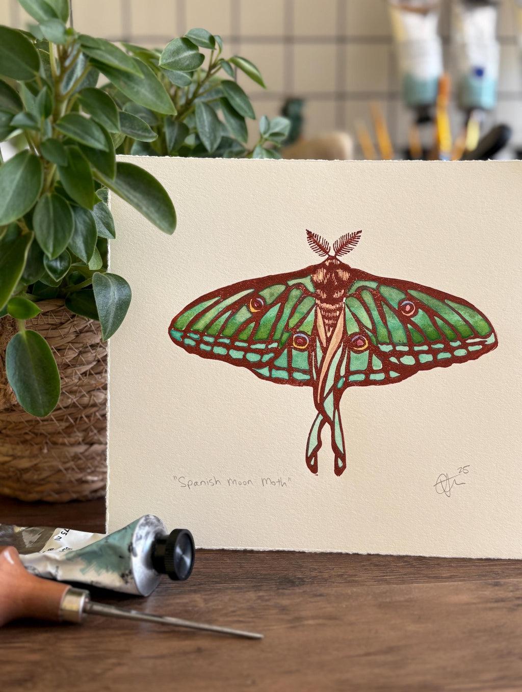 Spanish Moon Moth Original Watercolour & Lino Print