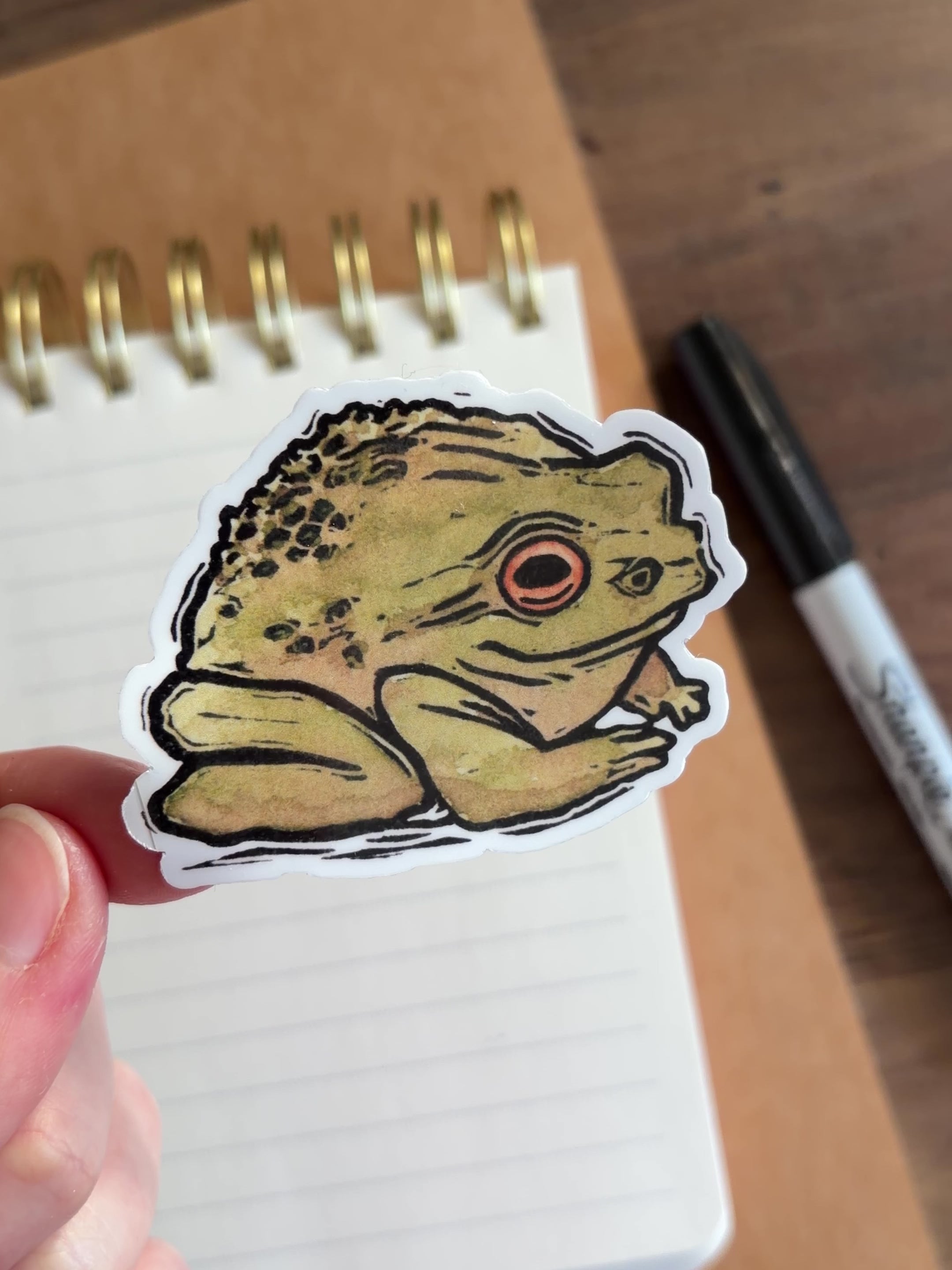 Frog Vinyl Sticker
