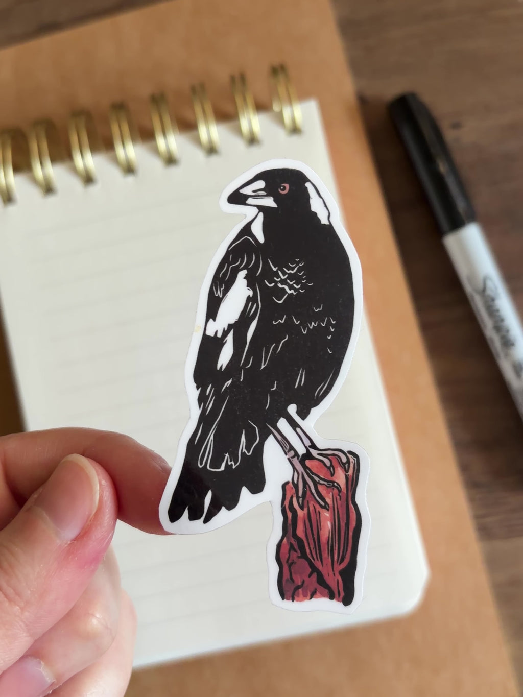 Magpie Vinyl Sticker