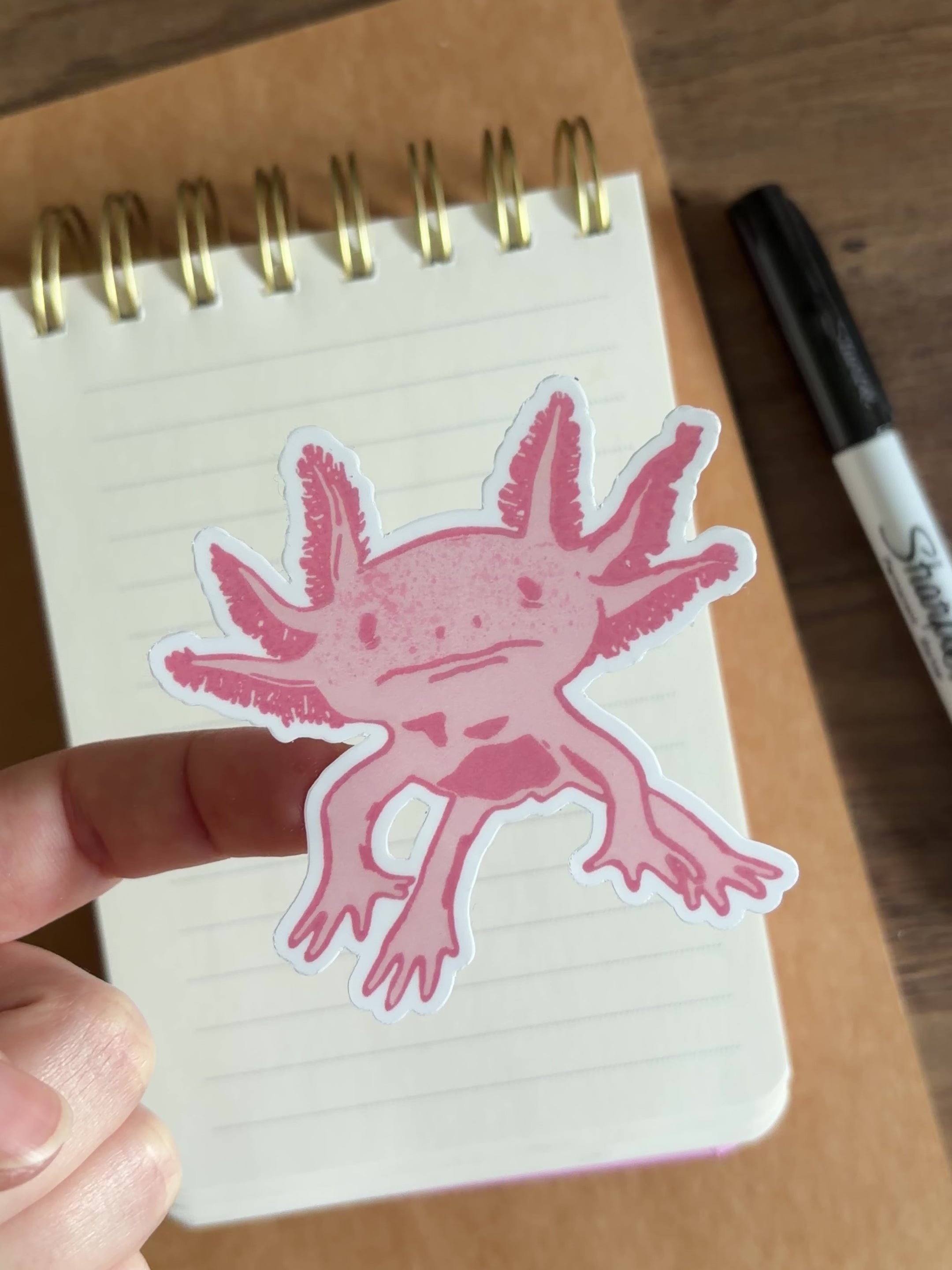 Axolotyl Vinyl Sticker