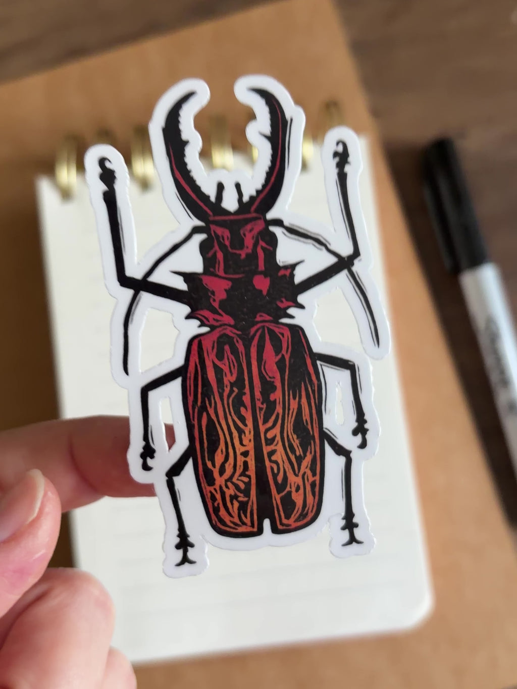 Beetle Vinyl Sticker