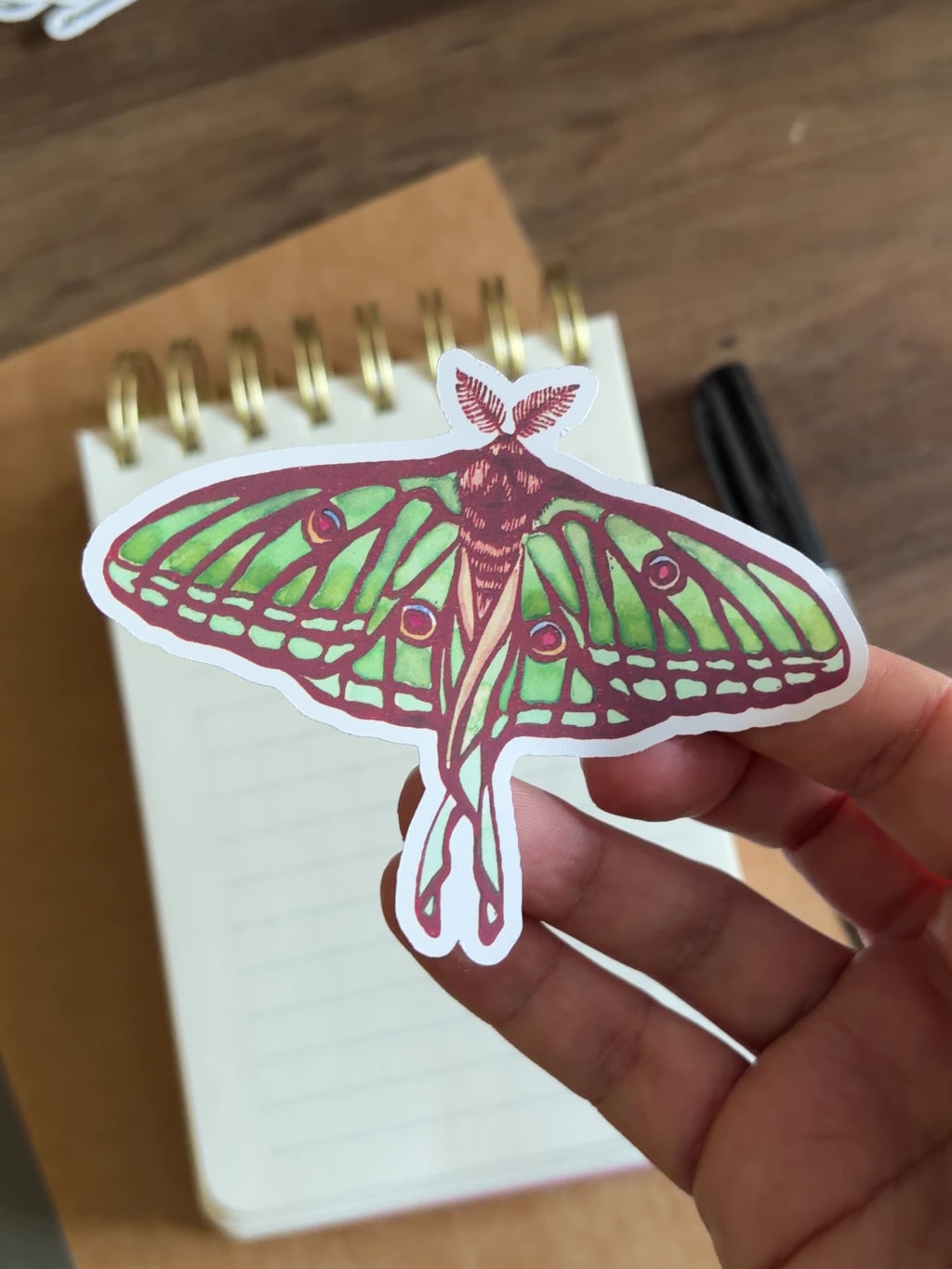 Moon Moth Vinyl Sticker