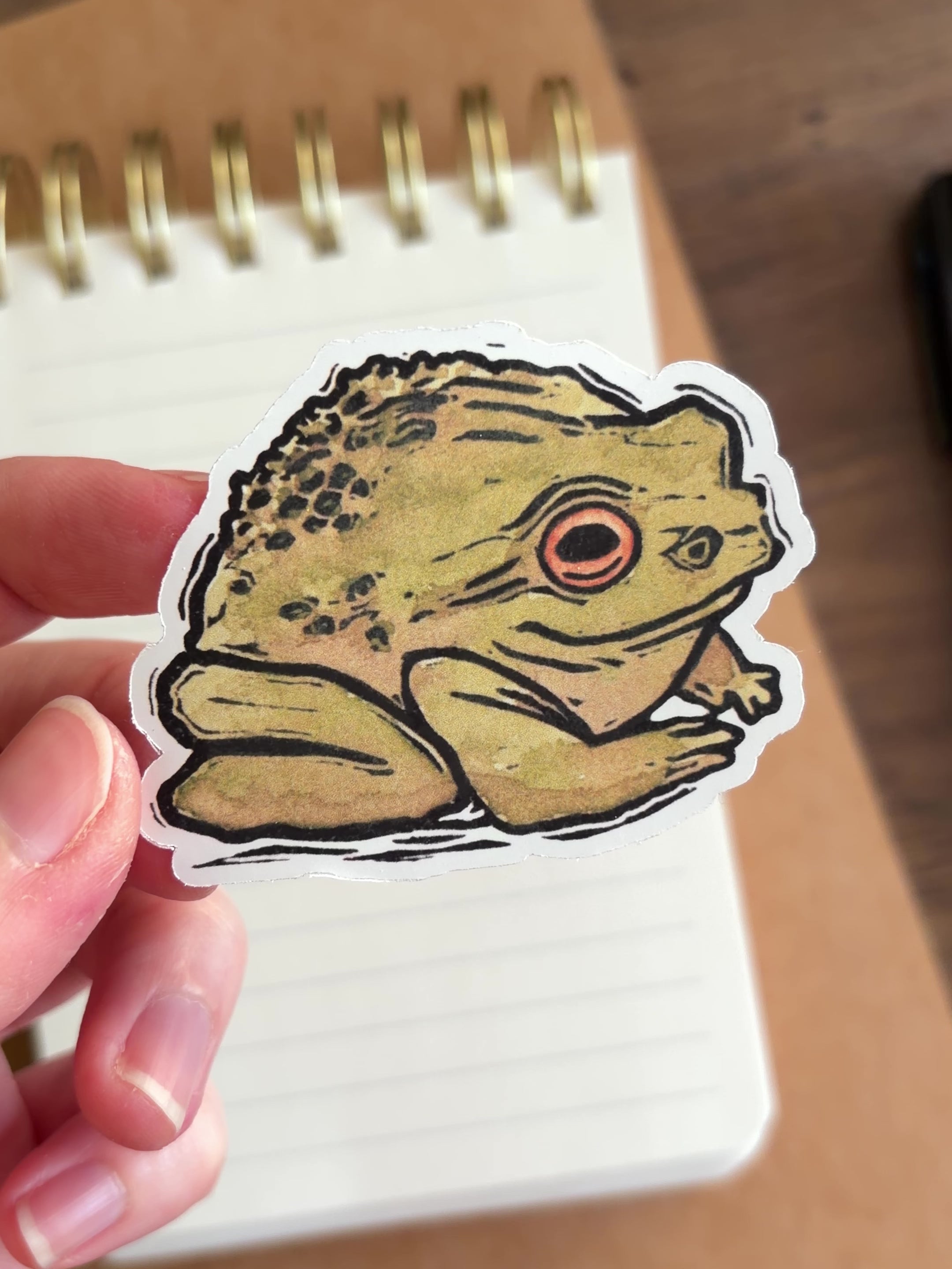Frog Vinyl Sticker