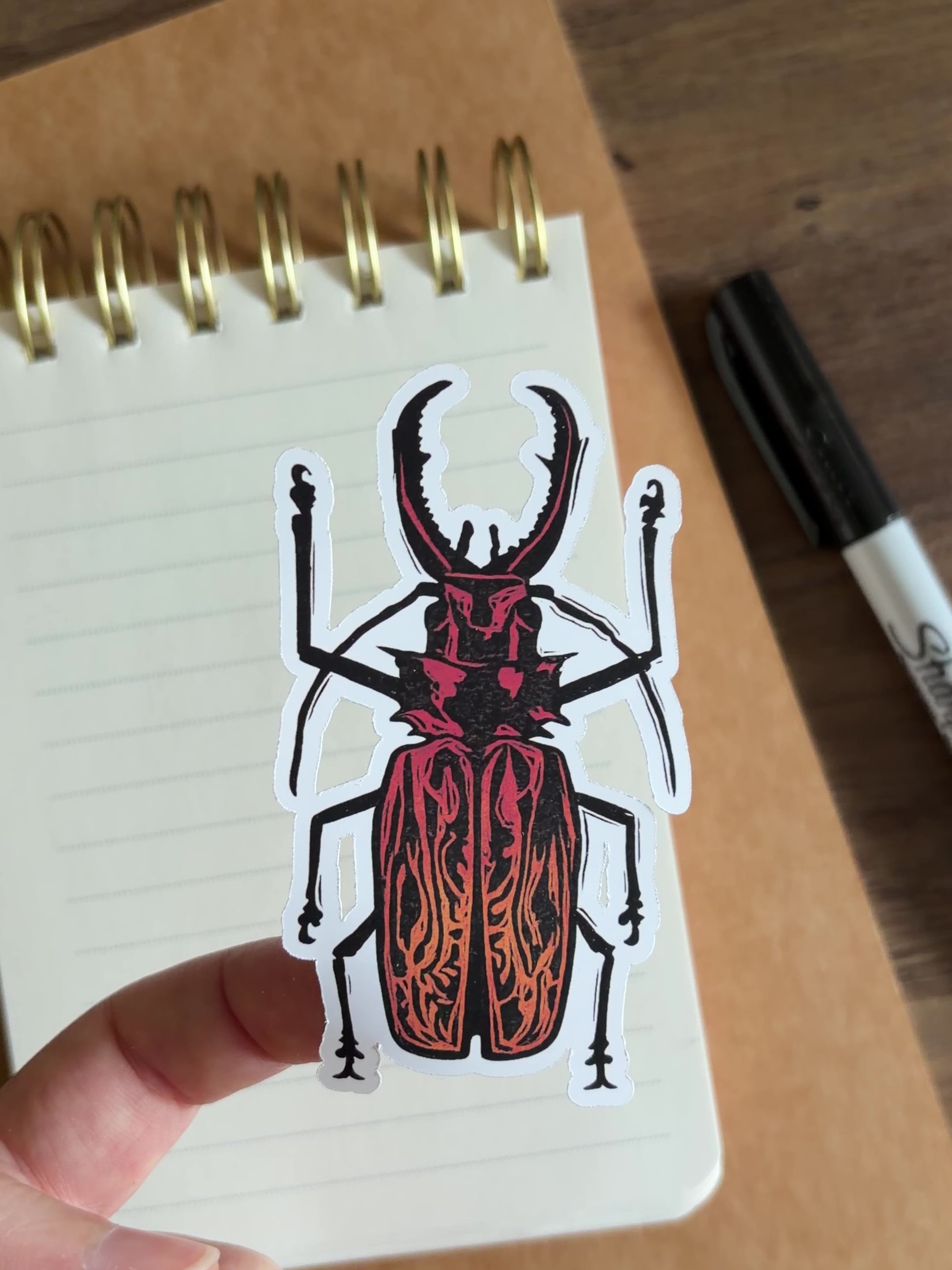 Beetle Vinyl Sticker
