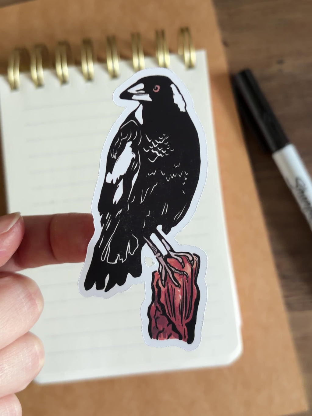 Magpie Vinyl Sticker
