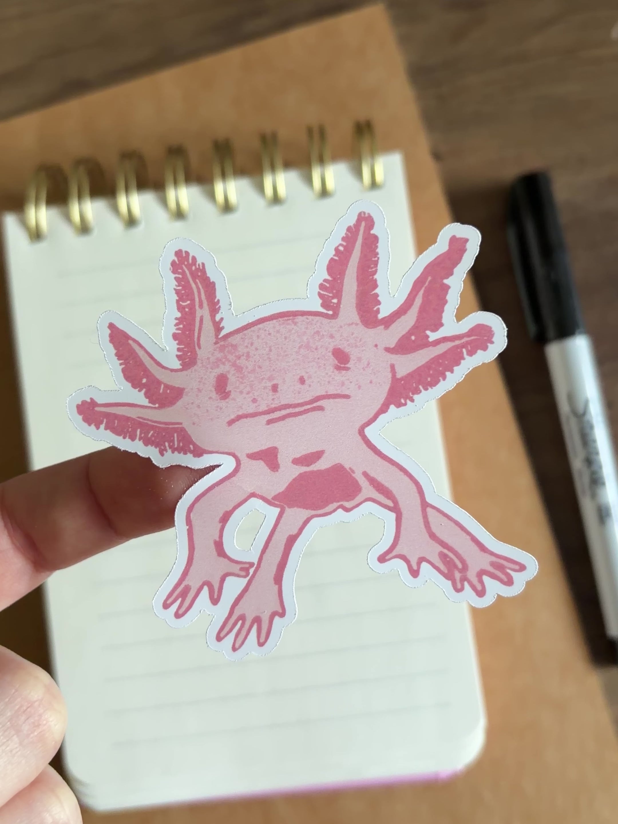 Axolotyl Vinyl Sticker